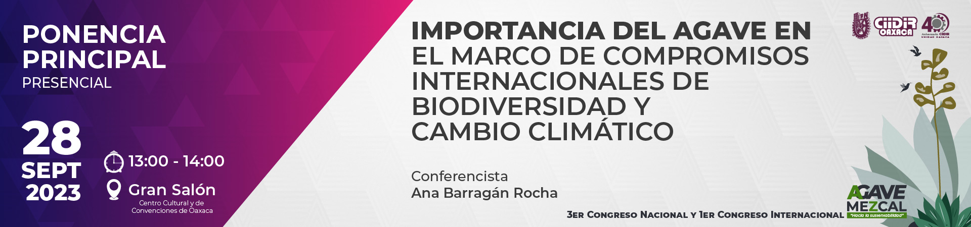 Importancia del Agave en el marco de compromisos internacionales de biodiversidad y cambio climático.